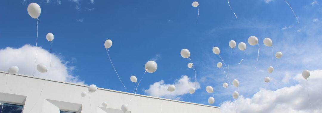 biale-balony-z-helem-wypuszczone-w-niebo