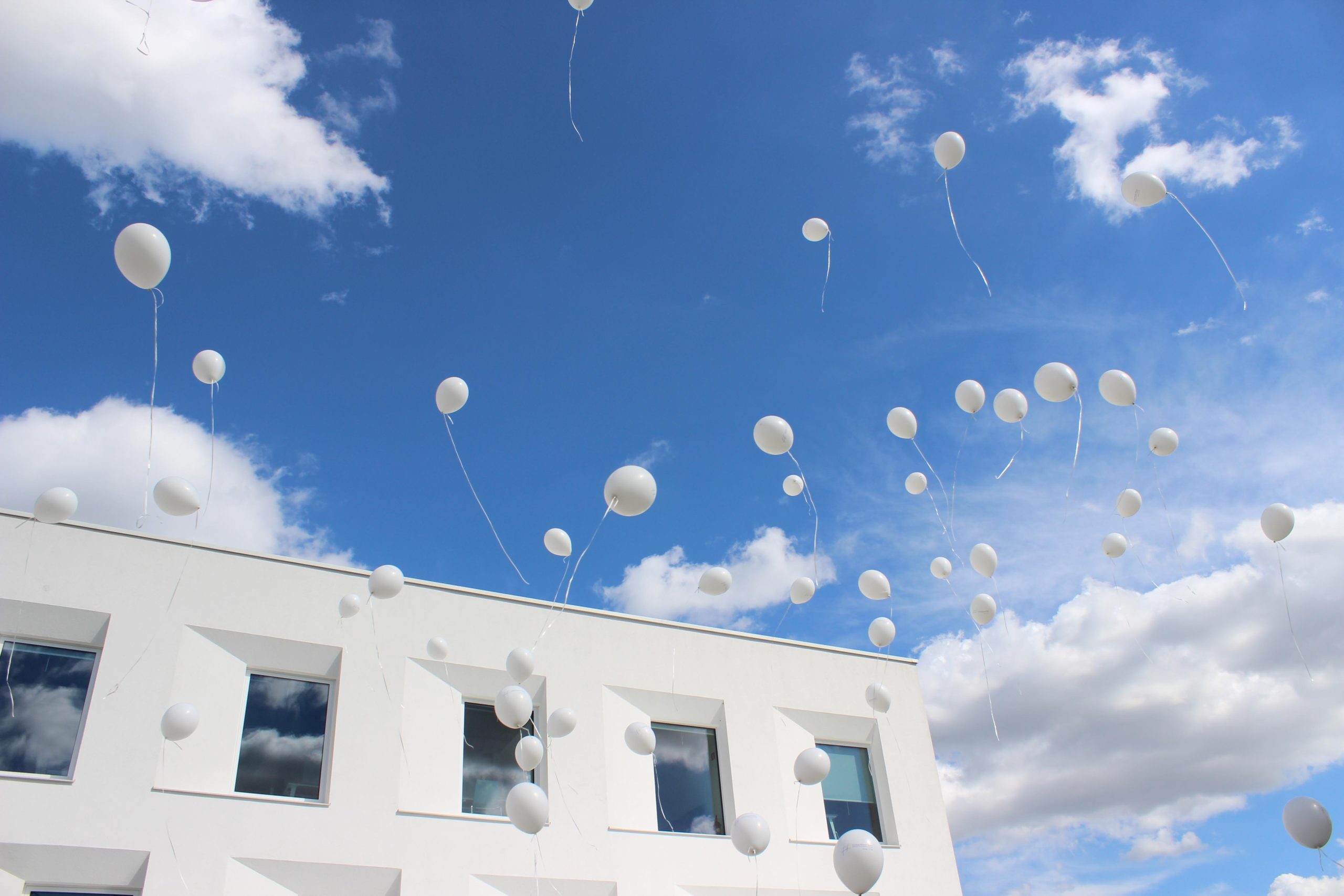 biale-balony-z-helem-wypuszczone-w-niebo