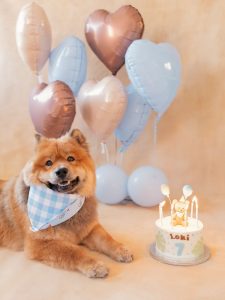 Balony z nadrukiem imienia pupila – urodziny zwierząt