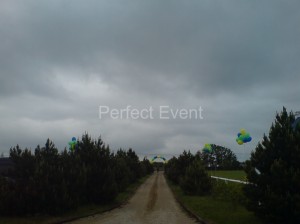 brama balonowa na wejsciu na teren pikniku   