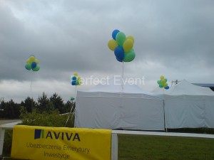 dekoracja balonowa terenu imprezy   